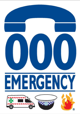 Illustration with text "000 EMERGENCY" above images for the ambulance, police, and fire service.