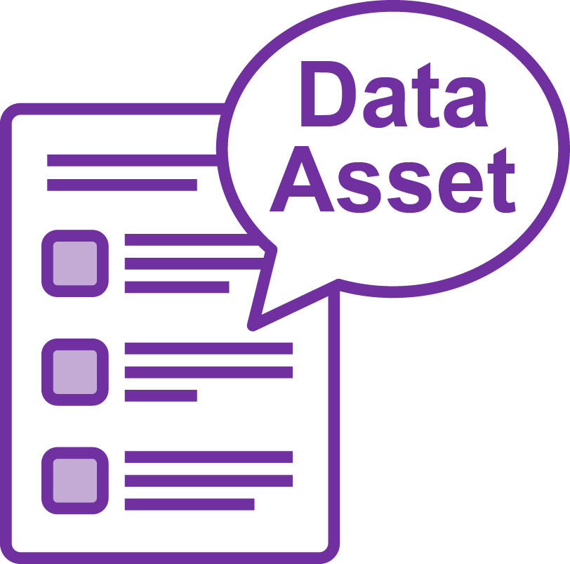 An icon of a document with a speech bubble saying 'Data Asset'. 