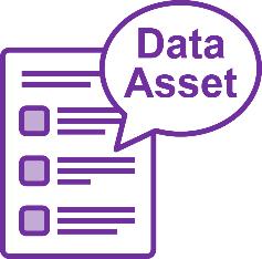 An icon of a document with a speech bubble saying 'Data Asset'. 